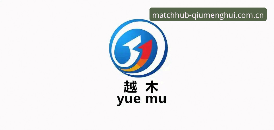 球盟会安卓版深度分析：从安装体验到平台优势，一位老用户的全面解读